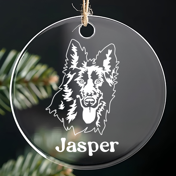 Custom Pet Ornament