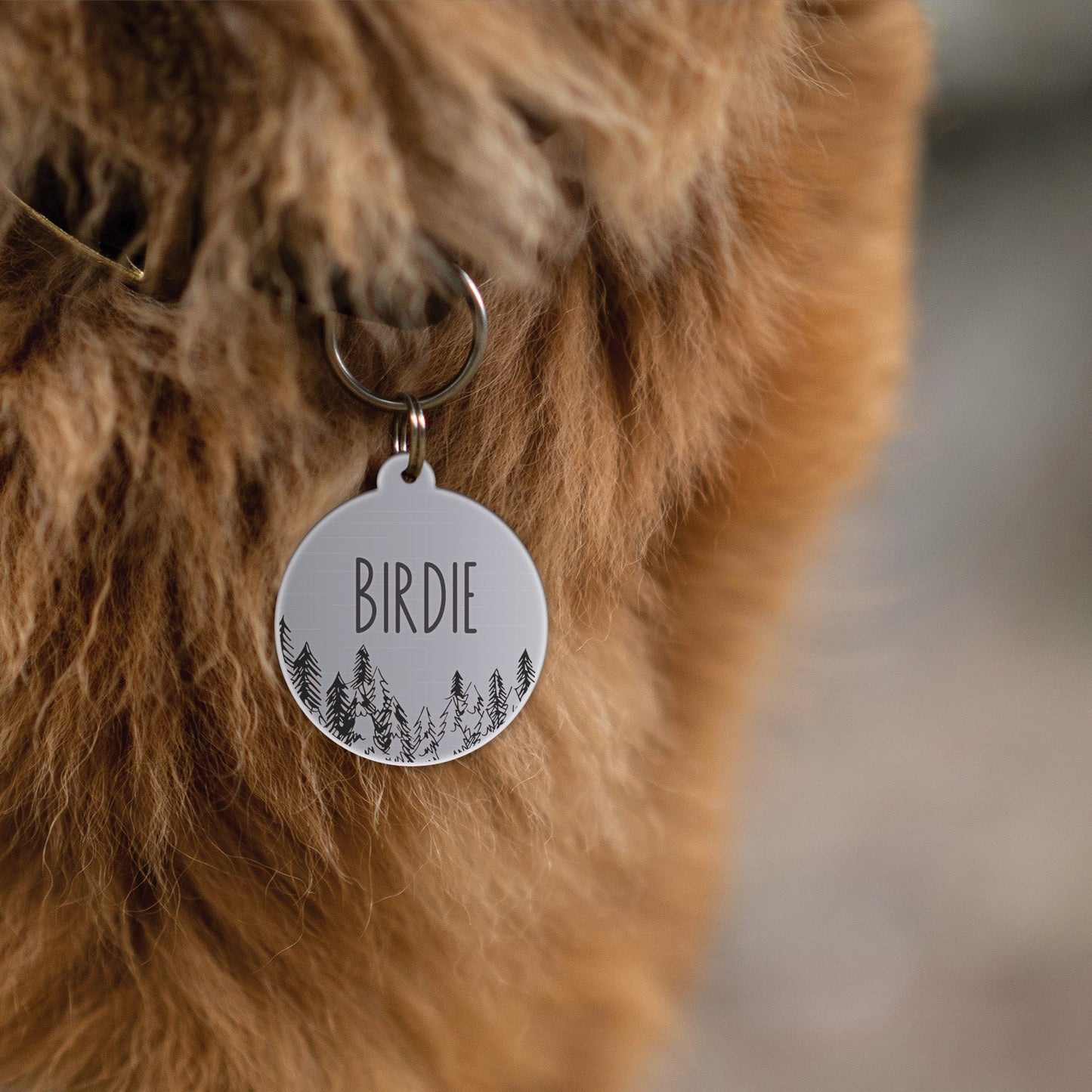 Pet Tag